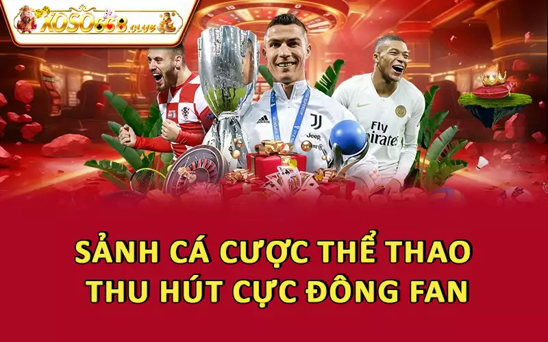 Sảnh cá cược thể thao thu hút cực đông fan