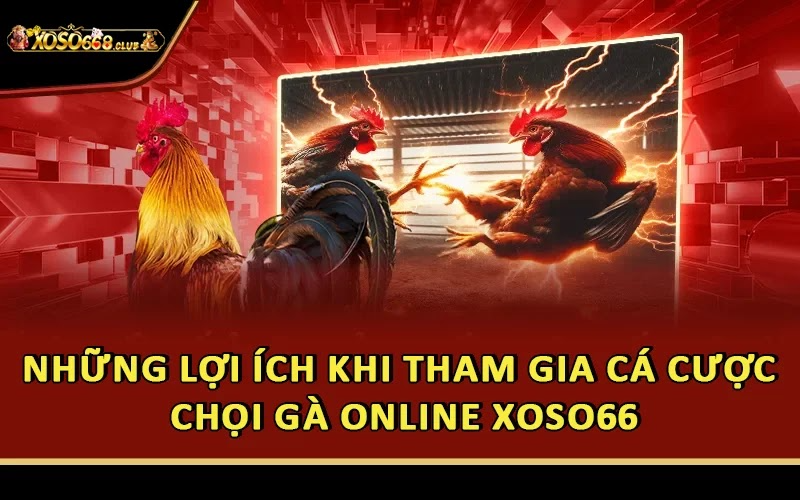 Những lợi ích khi tham gia cá cược chọi gà online Xoso66