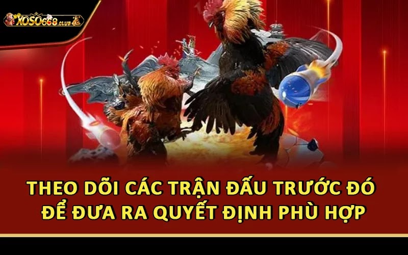 Theo dõi các trận đấu trước đó để đưa ra quyết định phù hợp