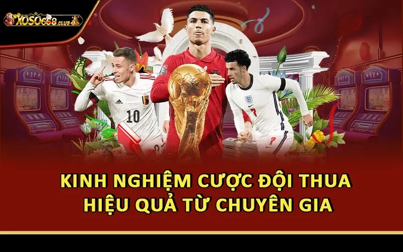 Kinh nghiệm cược đội thua hiệu quả từ chuyên gia