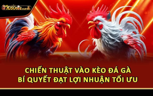 Chiến Thuật Vào Kèo Đá Gà: Bí Quyết Đạt Lợi Nhuận Tối Ưu