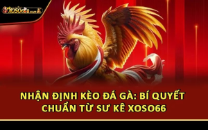 Nhận Định Kèo Đá Gà: Bí Quyết Chuẩn Từ Sư Kê Xoso66